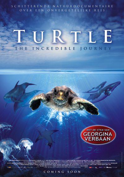 Turtle: The incredible journey